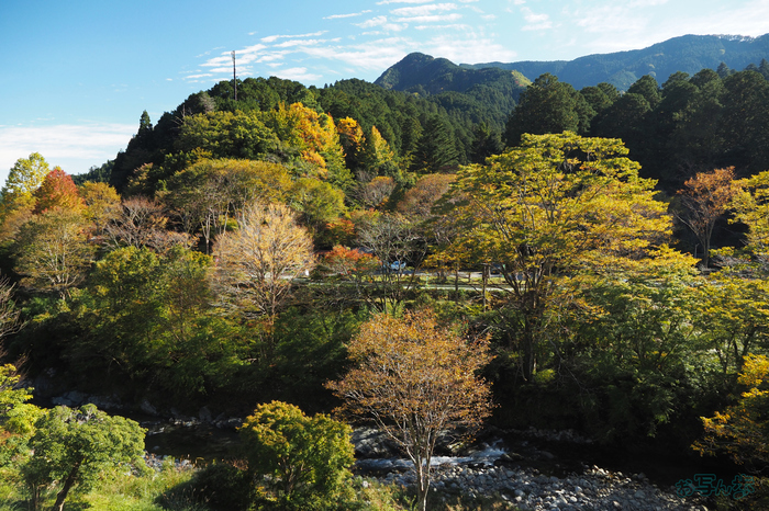 お写ん歩